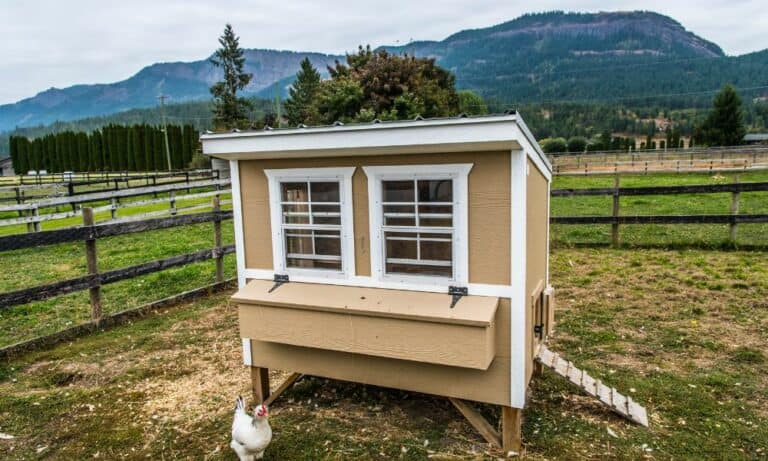 19 DIY Pallet Chicken Coop Plans to Build Today