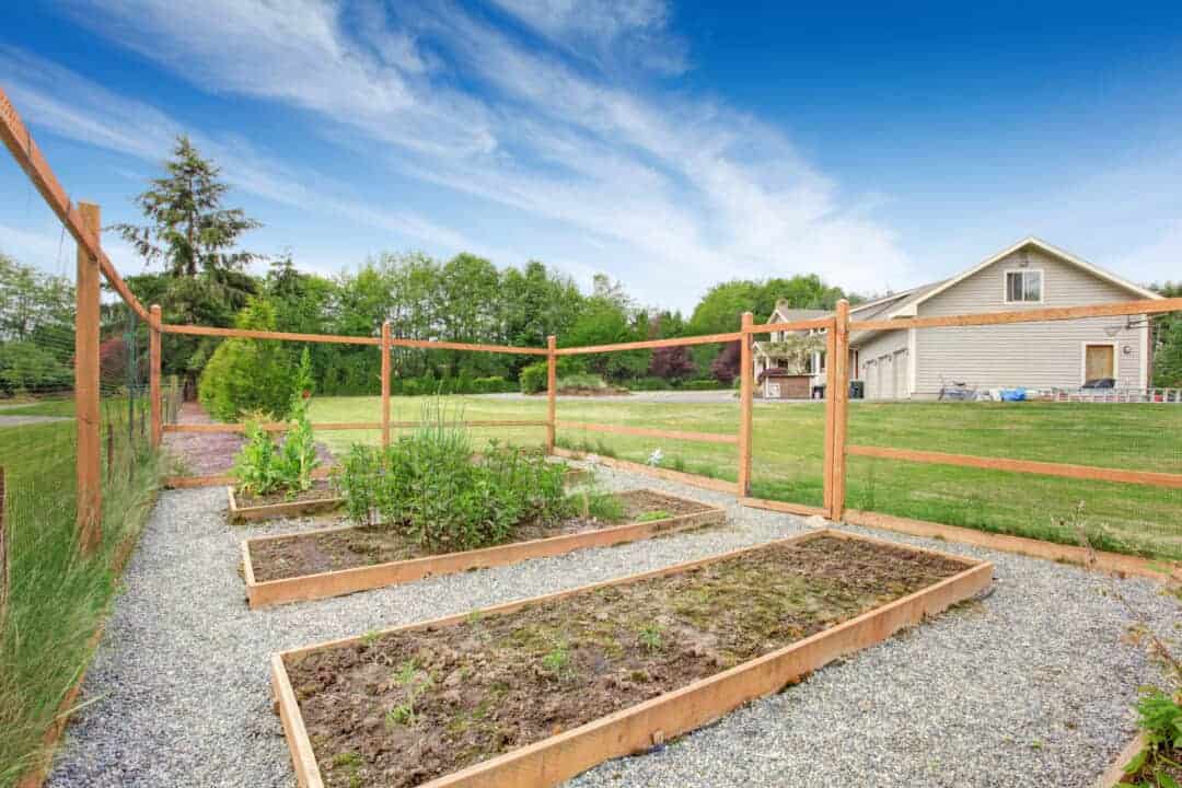 7 Steps to Build a Chicken-Proof Garden Fence – Pest Pointers
