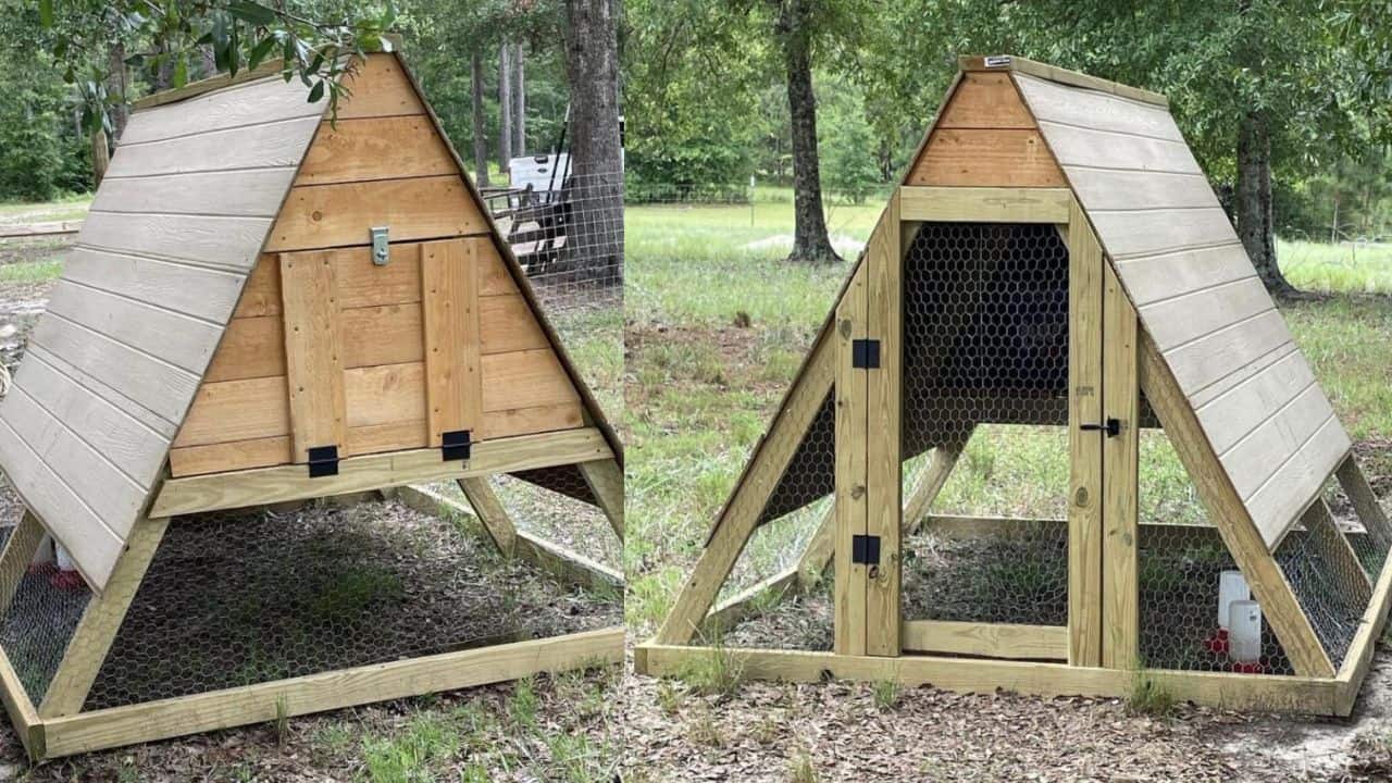 A-Frame Chicken Tractor with Wheels