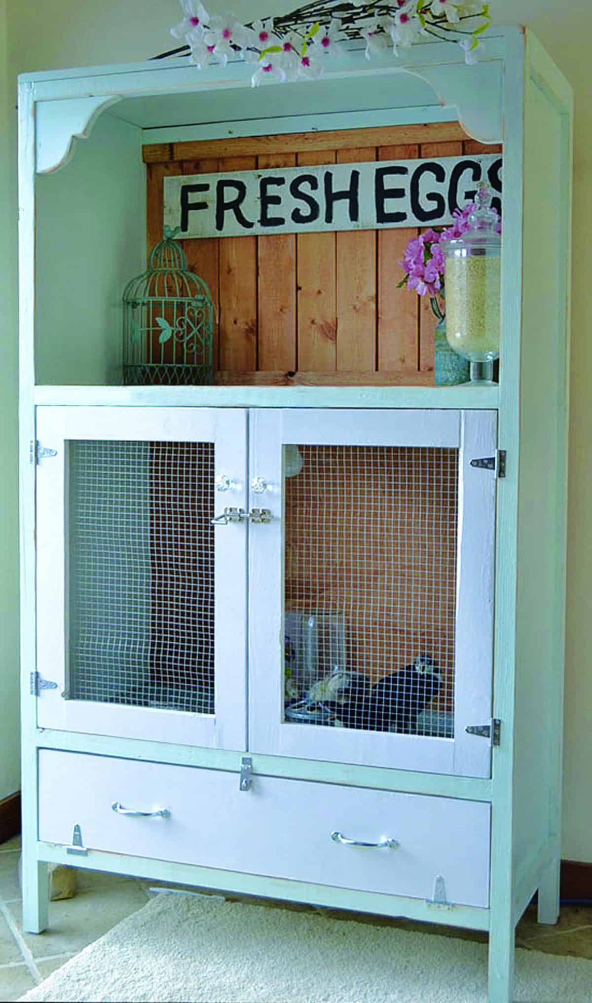 Brooder Box Plans: Build Your Own Brooder Cabinet