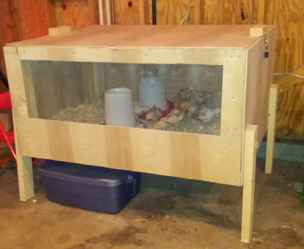 Build a Brooder for Your Chicks: 5 Steps – Instructables