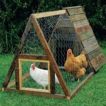 Build an A-frame Chicken Coop – Reader's Digest Australia