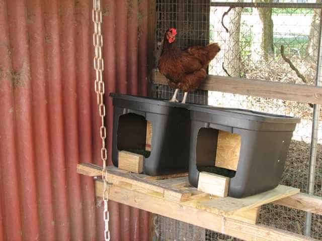 Building a Roll-Away Nest Box – The Southern Agrarian