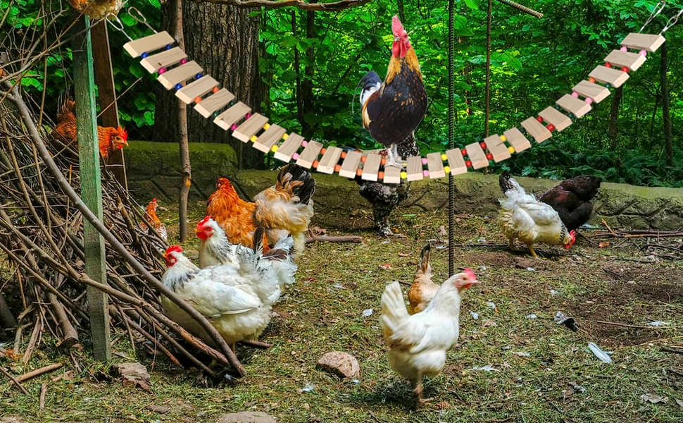 DIY Chicken Bridge