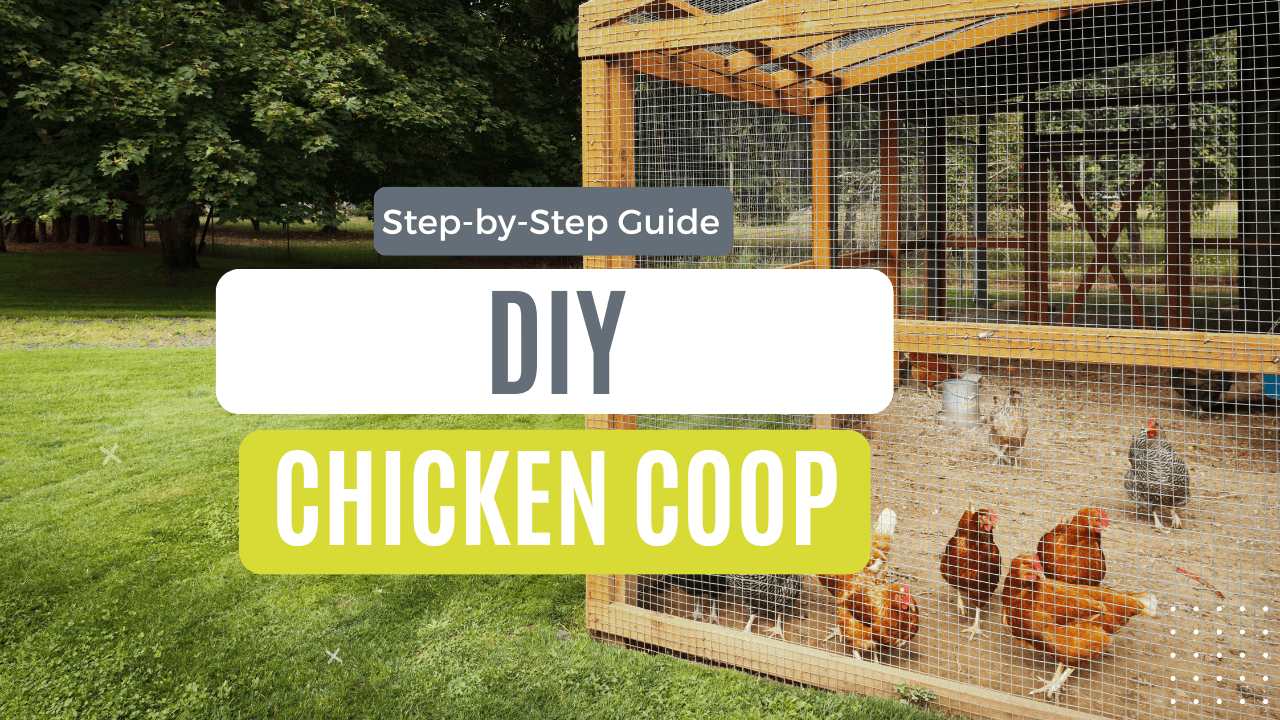DIY Chicken Coop Step-by-Step Guide – Concrete Taxi