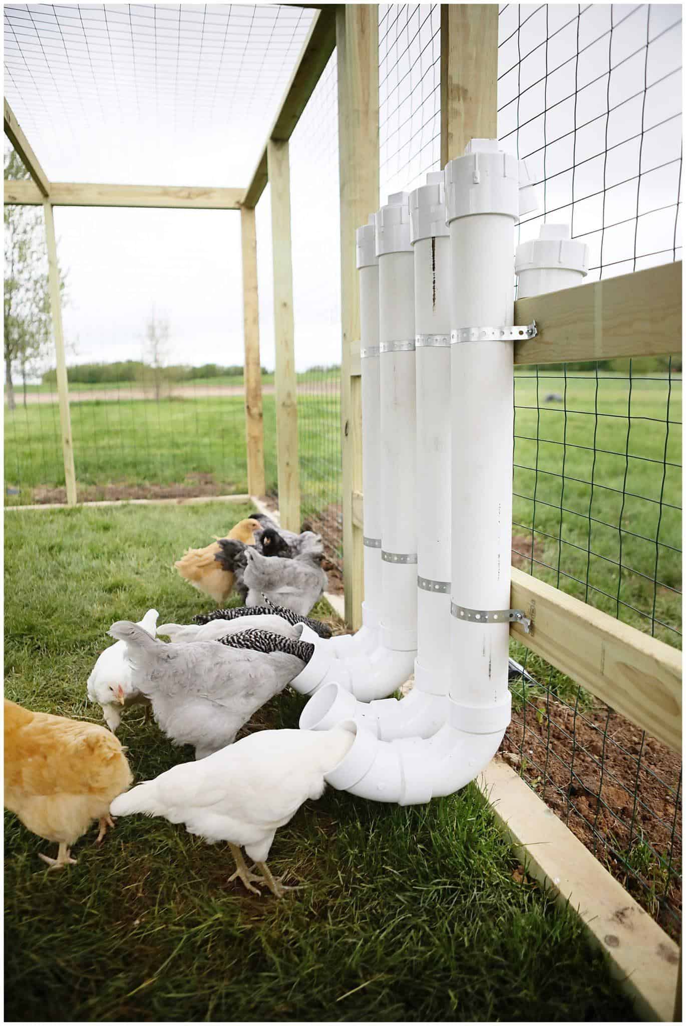 DIY Chicken Feeders from PVC – Sugar Maple Farmhouse