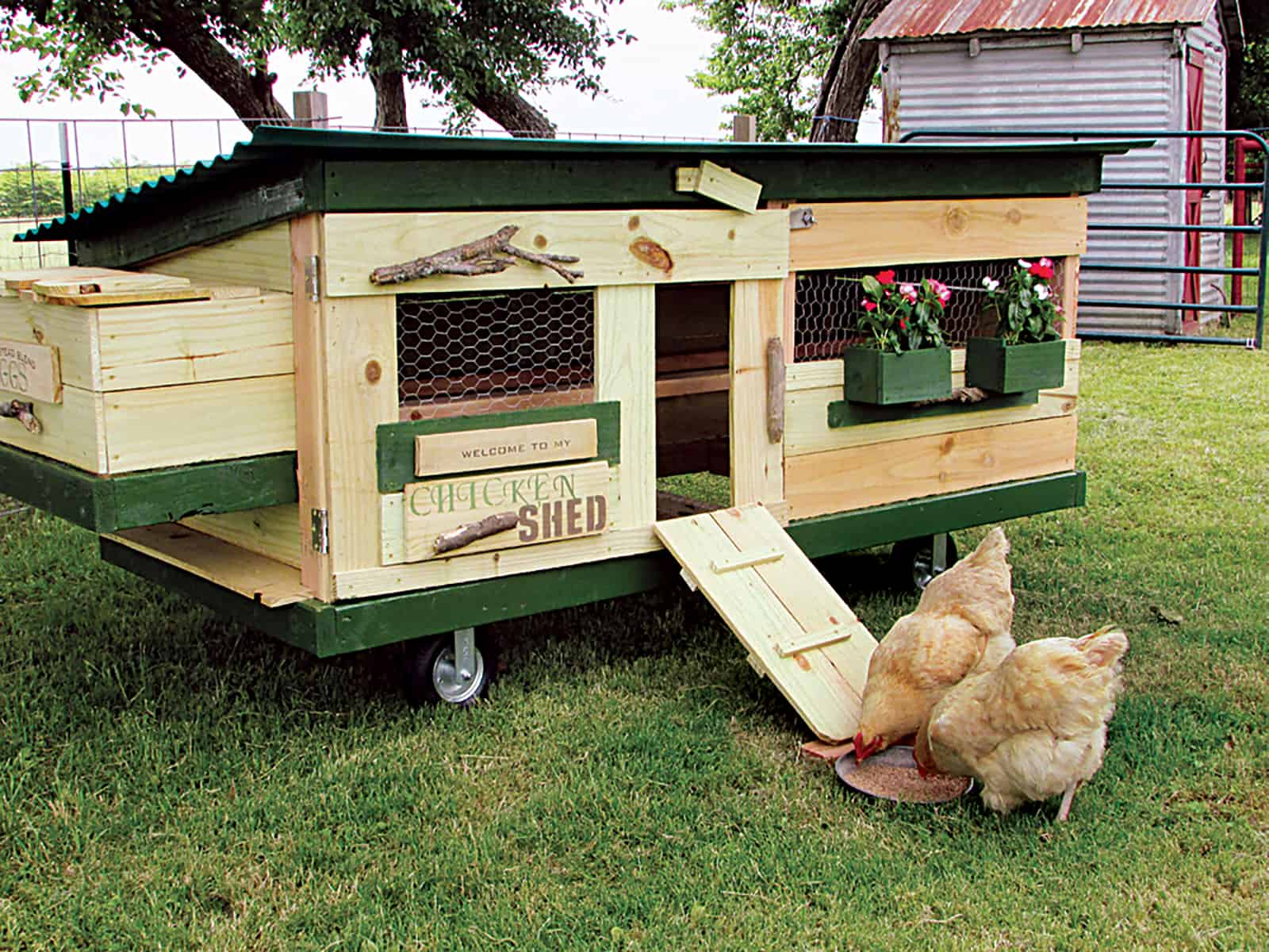 DIY Chicken Tractor Plan – Backyard Poultry