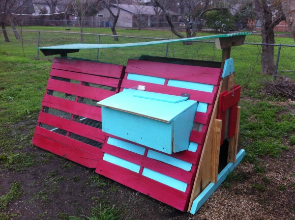 DIY Pallet Chicken Coop – Austin Garden