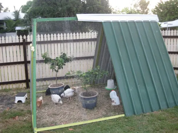 DIY Upcycled Swing Set Chicken Coop – Jojo Chooks