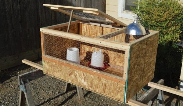 Easy Plans for A DIY Chick Brooder – Hobby Farms