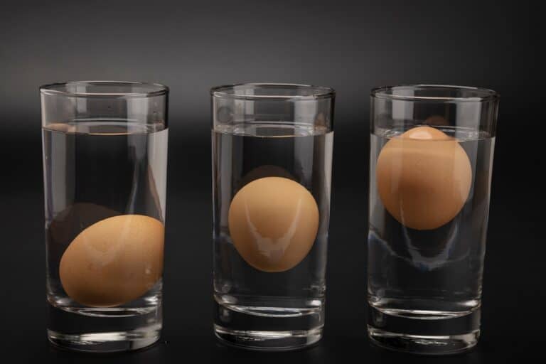 Egg Float Test: How To Tell If It’s Bad?