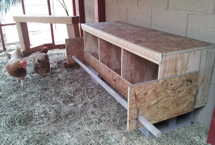 How To Build a Chicken Nesting Box – removeandreplace.com