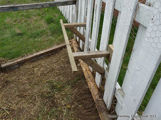 How to Build a Chicken Roost – Instructables