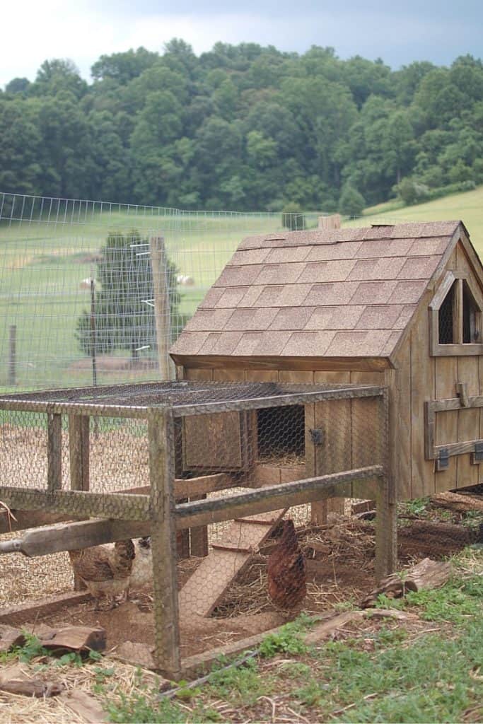 How to Build a Chicken Run – Roots & Boots