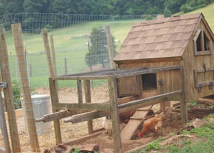 How to Build a Chicken Run – The Prairie Homestead