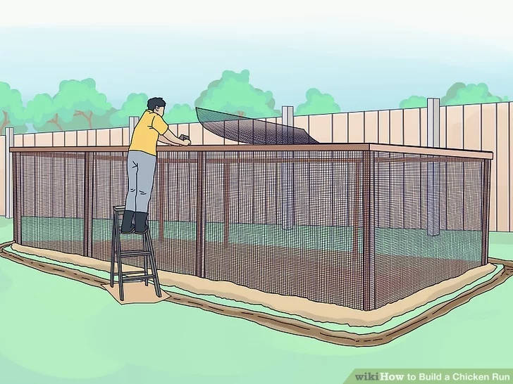 How to Build a Chicken Run – wikiHow