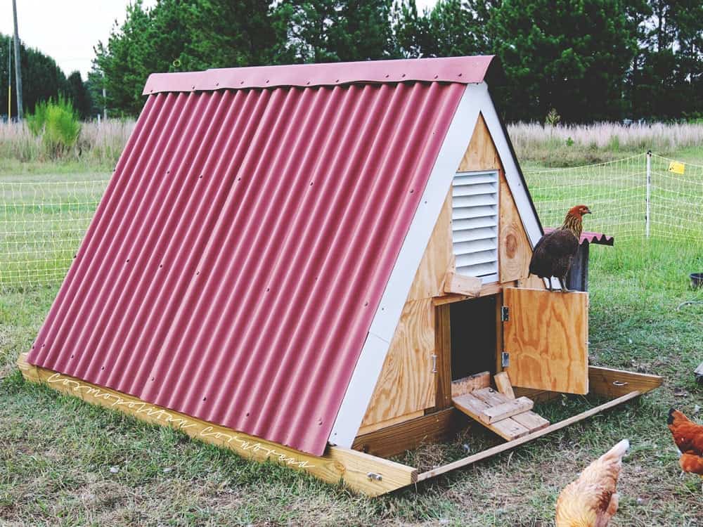 How to Build an A-Frame Chicken Coop "Chicken Sled" – Cosmopolitan Cornbread