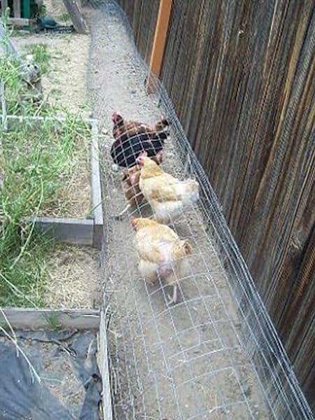 How to Make a Chicken Tunnel – DIY Chicken Garden Run Tunnel