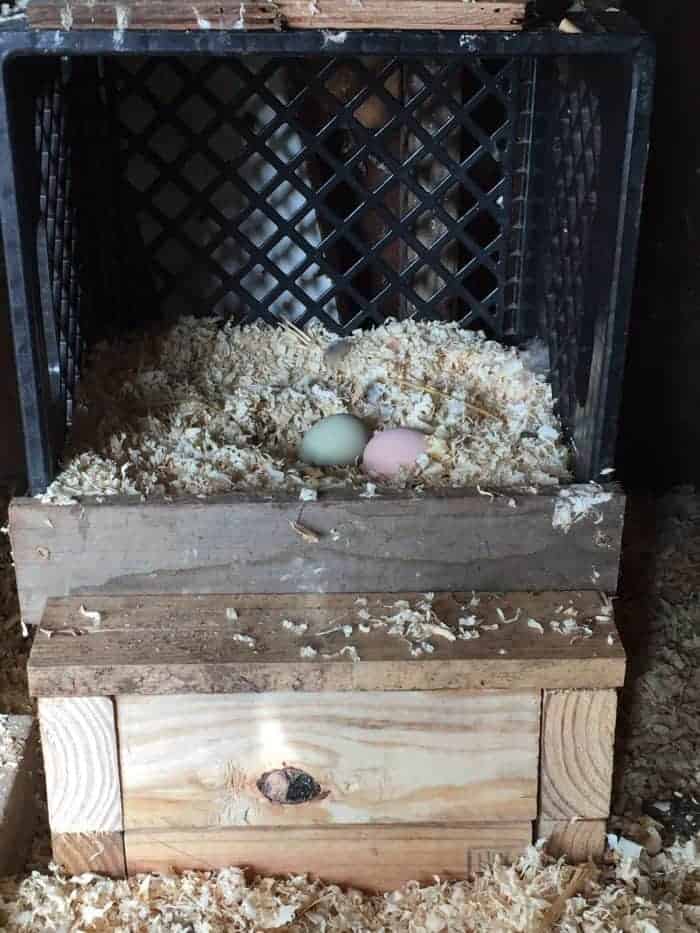 How to Make a Milk Crate Nest Box – City Girl Farming