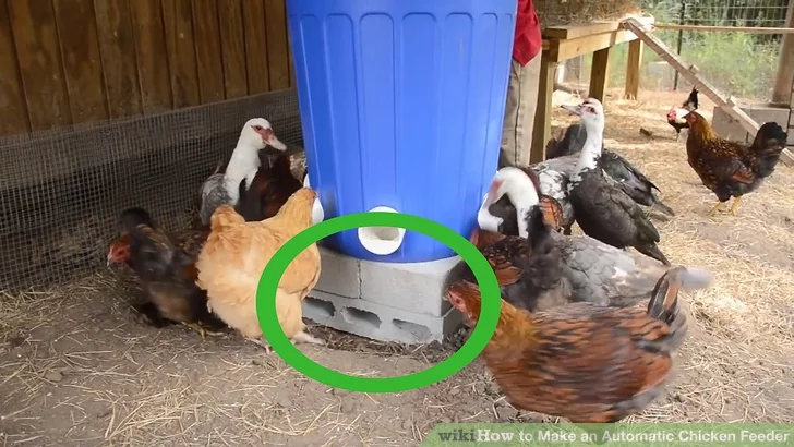 How to Make an Automatic Chicken Feeder: 13 Steps – wikihow.com