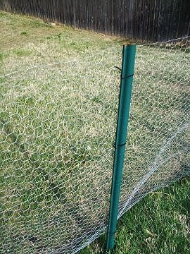 Make a Cheap, Quick Chick Fence - Little House in the Suburbs