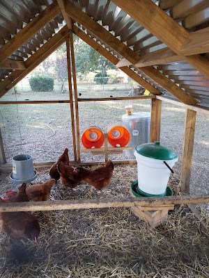 Skip The Bag: How to Turn 5 Gallon Buckets into Nesting Boxes