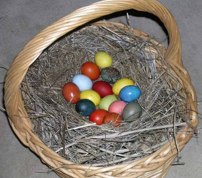 What color eggs does an Easter Egger hen lay