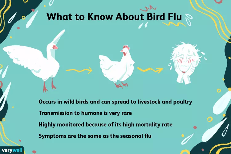 What is Avian Influenza