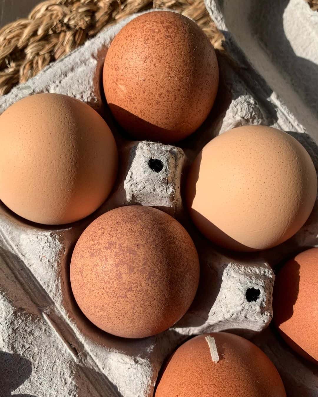 What should buyers know about Plymouth Rock hens when it comes to eggs?