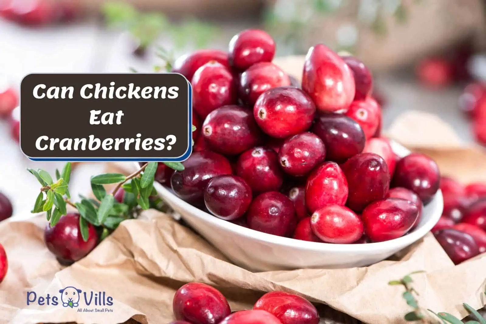 Are cranberries good for chickens