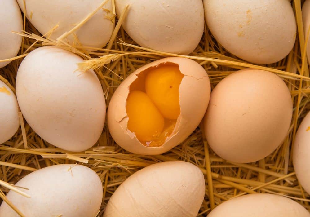 Are double-yolked eggs healthier?