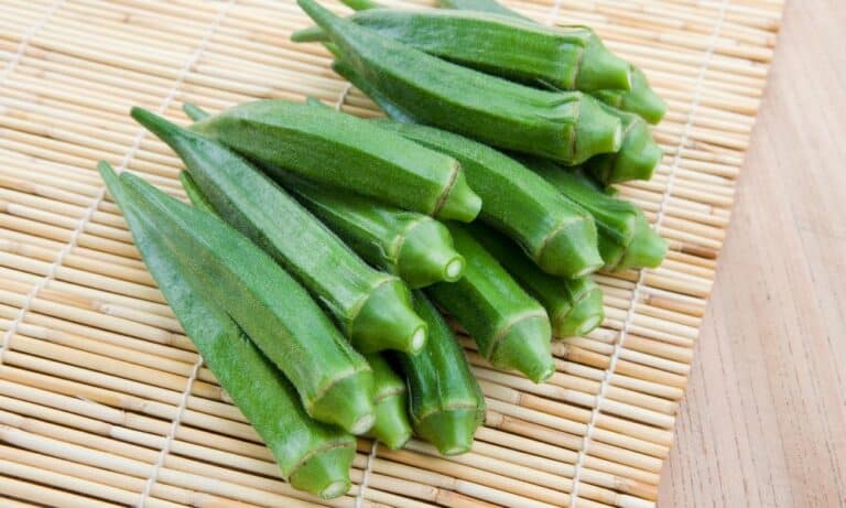 Can Chickens Eat Okra? (Details)