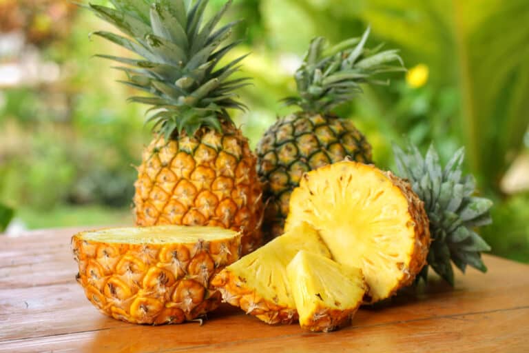 Can Chickens Eat Pineapple? (Risks & Benefits)