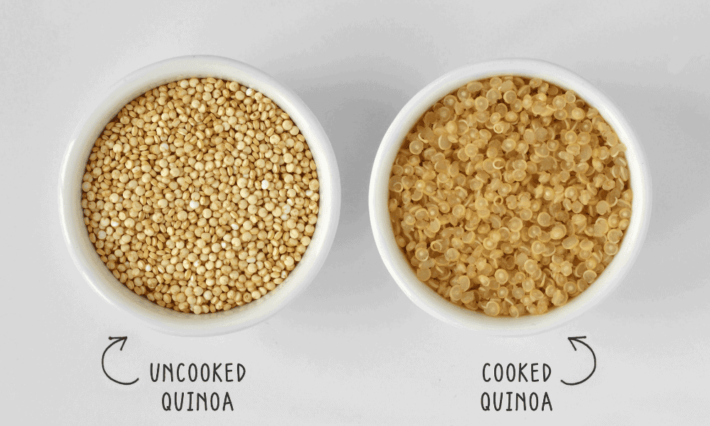 Can chickens eat all types of quinoa