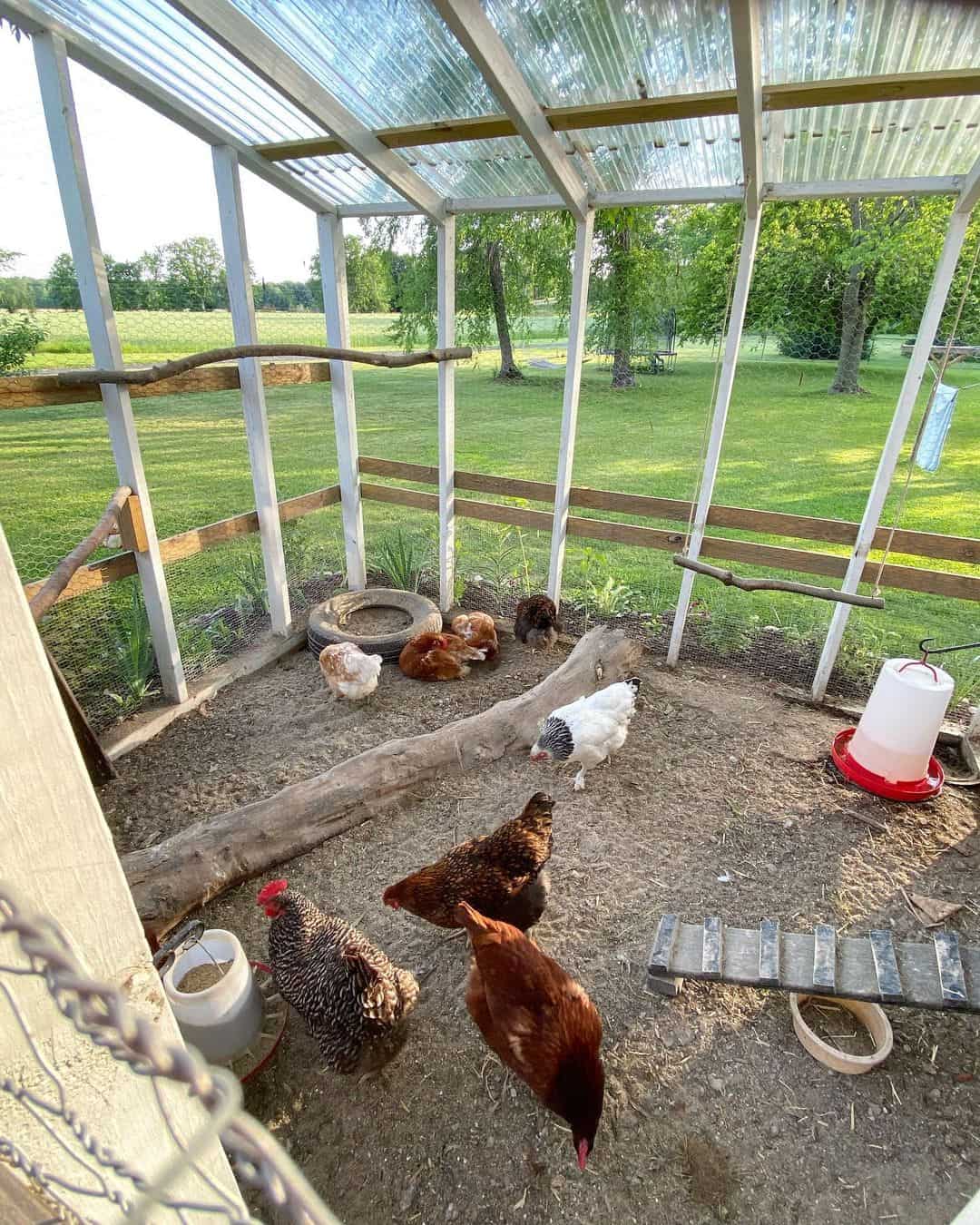 Consider adding multiple baths if you have more chickens