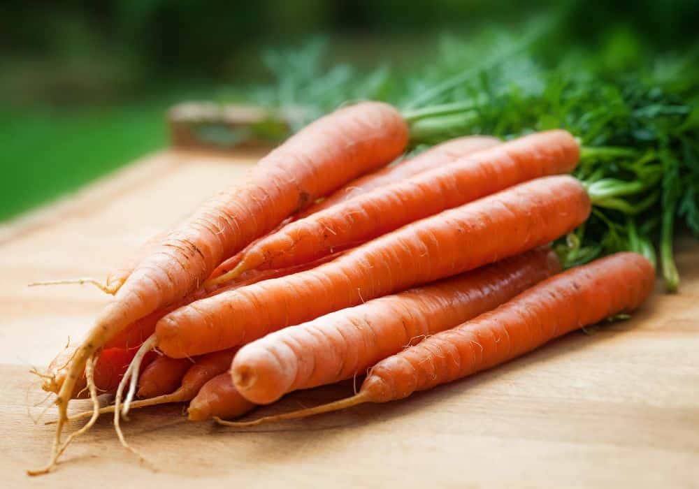 Health Benefits of Carrots to Chickens