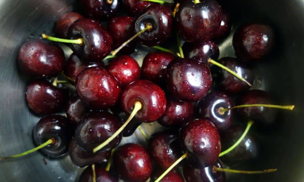 How beneficial are cherries to chickens