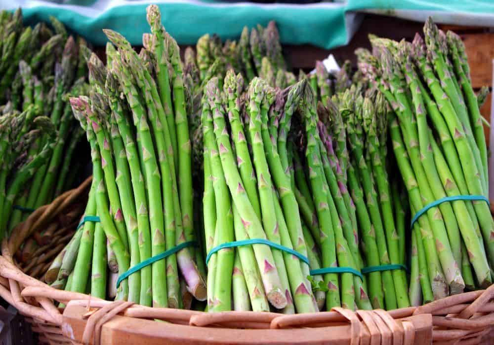 Is Asparagus Safe for Chickens