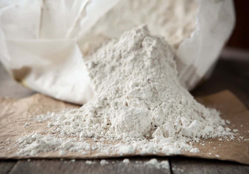 Is diatomaceous earth safe for use on chickens?