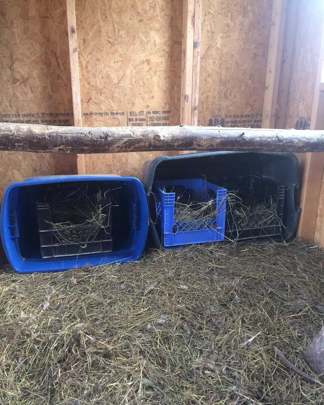 Nesting Box for Other Poultry Birds