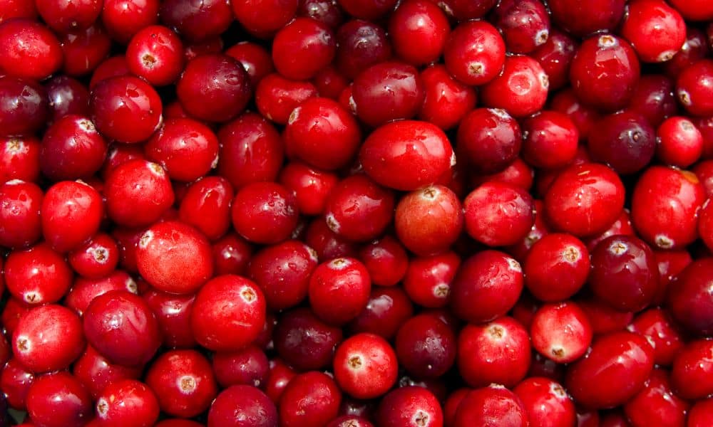 What are cranberries