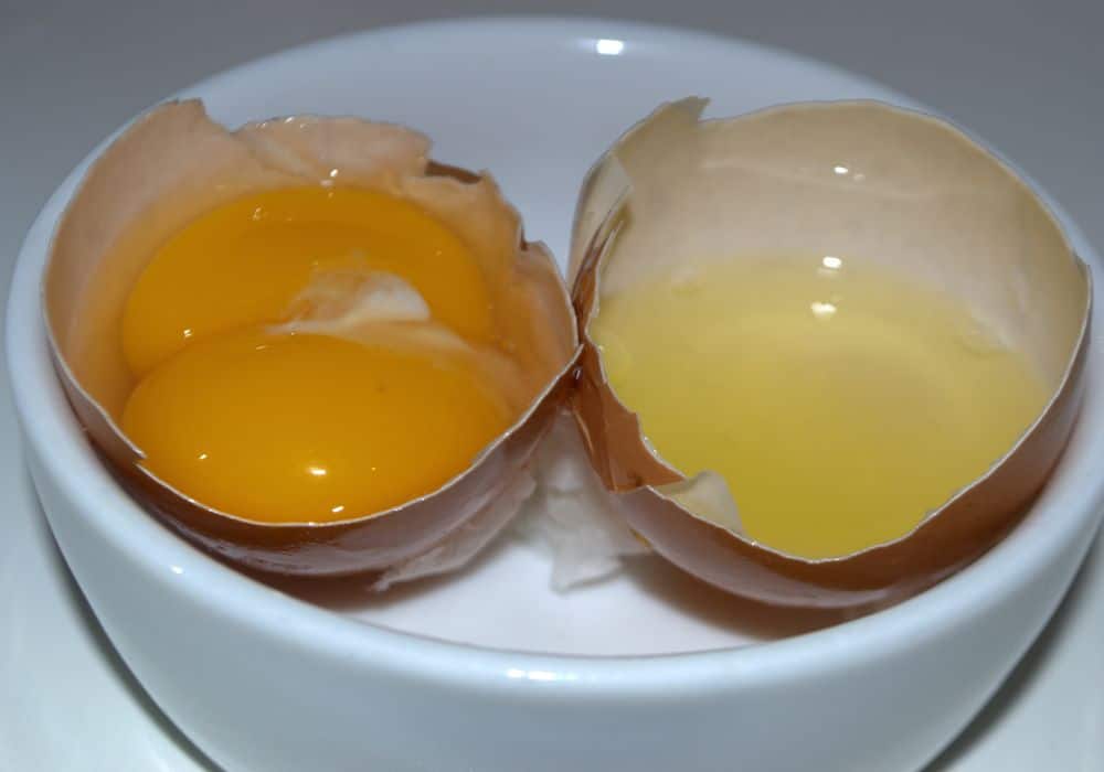 What does it mean if your chicken regularly lays double yolks?