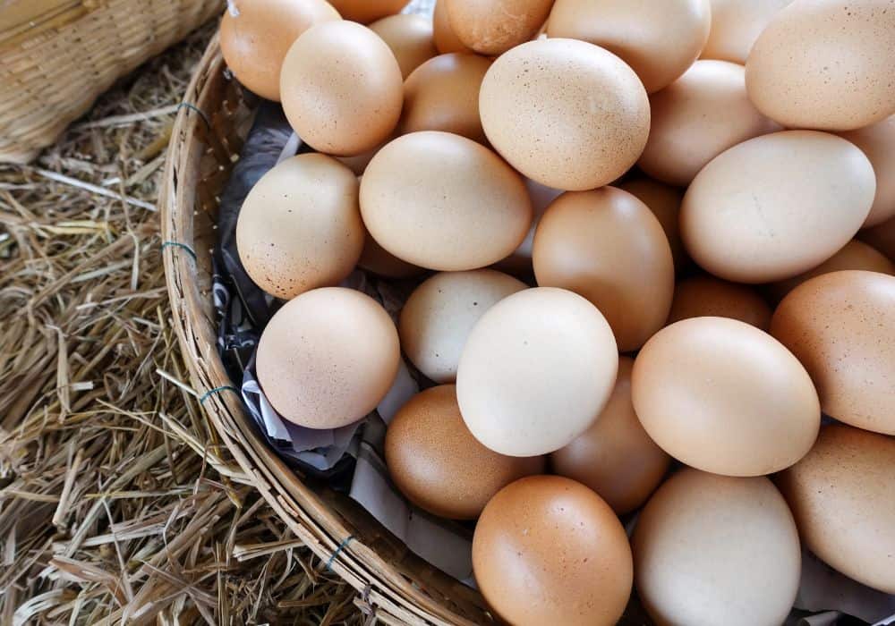 How Long Do Fresh Eggs Last